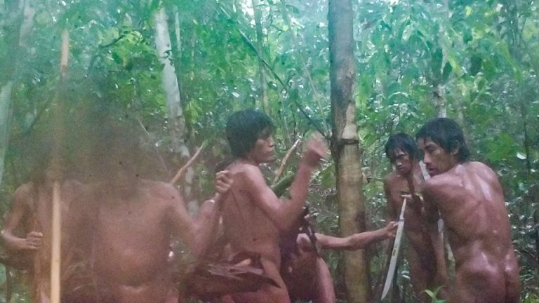 ছবিতে ধরা পড়লো আমাজনের ‘অজানা জনগোষ্ঠী’
