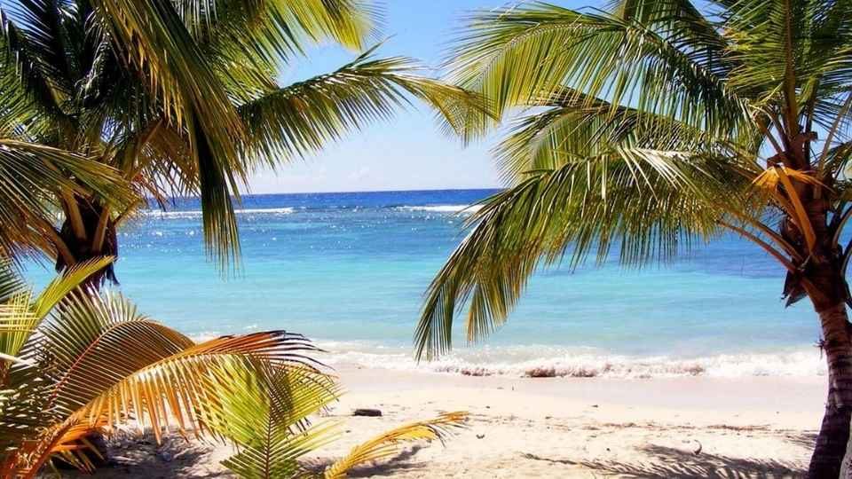 ছোট্ট নিরিবিলি ডোমিনিকার নজরকাড়া প্রাকৃতিক সৌন্দর্য মন জুড়িয়ে দেয়। ছবি: বটোসগি/ পিক্সাবে