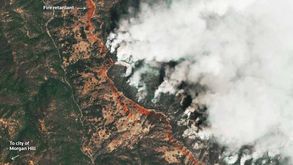 Satellite image