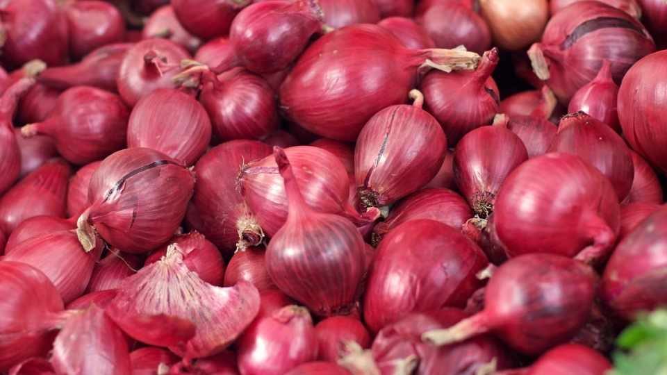 ভারতীয় পেঁয়াজ।
