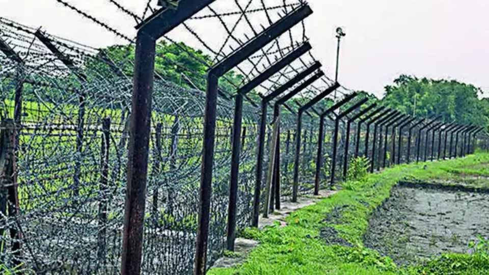 border-fence