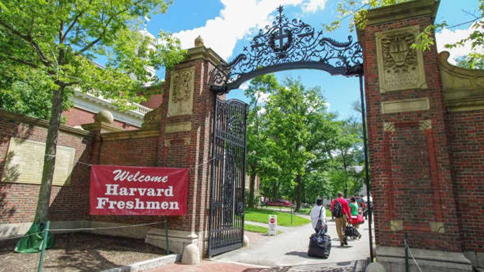 harvard