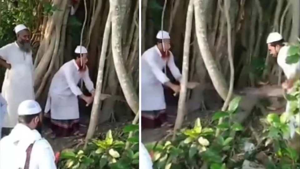 শিরক হচ্ছে ধুয়া তুলে মাদারীপুরে একটি বটগাছ কেটে ফেলা হয়েছে।