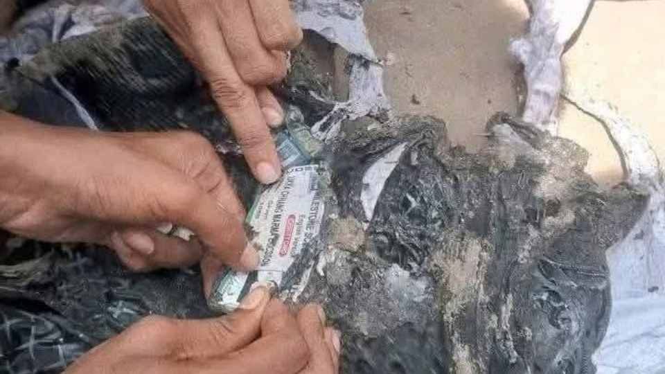 সোশাল মিডিয়ায় ছড়িয়ে পড়েছে এই ছবিটি।